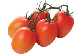 Pruimtrostomaten verpakt 750gr