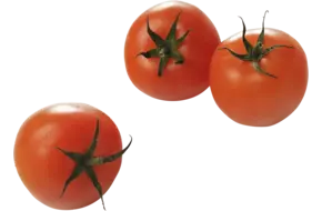 Tomaten C