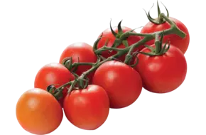 Tasty tom tomaten
