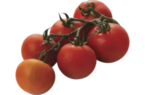 Trostomaten
