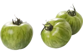 Tijger tomaten groen