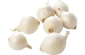 Zilveruien wit