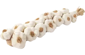 Knoflook streng 1kg