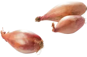 Banaan sjalotten verpakt 500gr