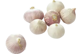 Knoflook solo 250gr