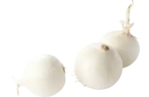 Witte uien