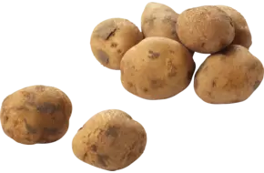 Bildstar aardappelen 2,5kg