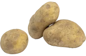 Bonken aardappelen gewassen