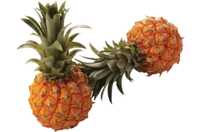 Baby ananas