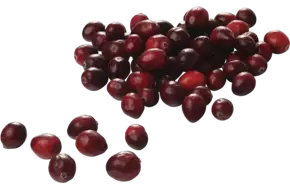 Cranberries vers 340gr