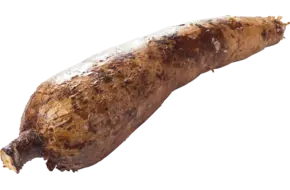 Casave