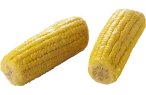 Mais gegaard 2 st