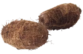 Eddo - Aroei