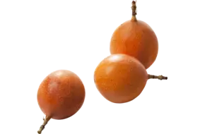 Grenadilla (12-18st)