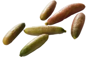 Finger limes verpakt 100gr