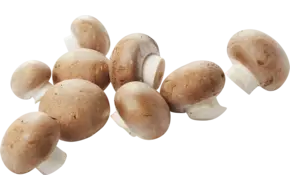 Kastanje champignons los