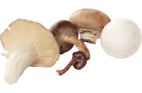Heksenmix 500gr