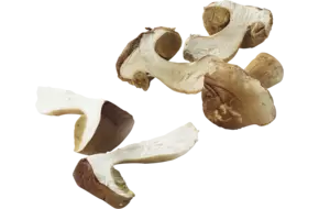 Cepes gesneden doos 1kg