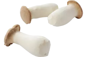 King oyster