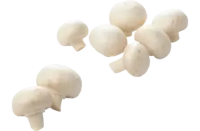 Champignons fijn los