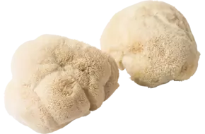 Pom Pom Blanc