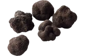 Zomertruffel tuber aestivum 100gr