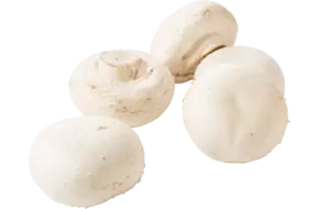 Champignons reuze los