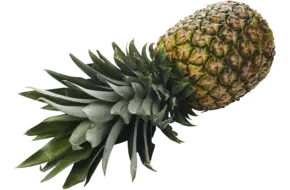 Bio Ananas