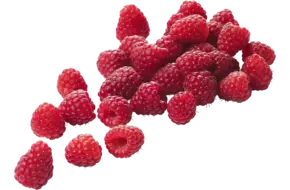 Frambozen met deksel 125gr