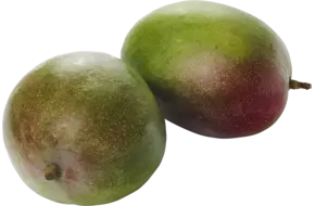 Mango by air