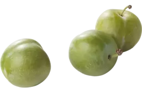 Pruimen Reine Claude