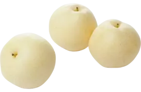 Nashi peren