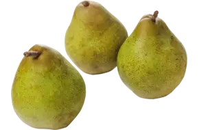 Handperen Comice verpakt per 4st