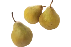Gieser wildeman peren groot 70-80