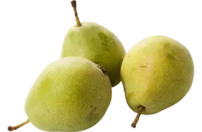 St.remy peren 70-80 kist 14 kilogram