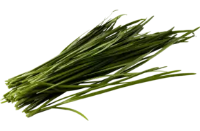 Knoflook bieslook 75-80gr stuk