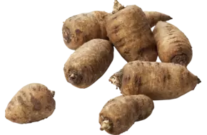 Kervelwortel