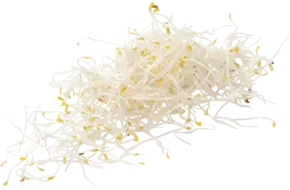 Alfalfa groot 250gr
