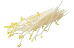 Erwten aspergescheut 100gr