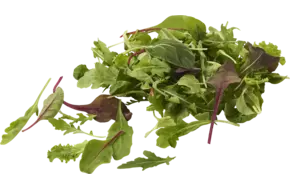 Luxe Slamix 500gr