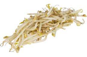 Tauge verpakt 500gr