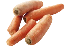 Voerpeen
