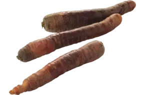 Winterpeen paars verpakt 1kg