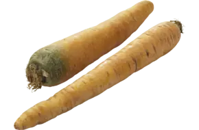 Winterpeen geel verpakt 1kg