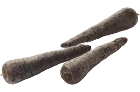 Winterpeen zwart