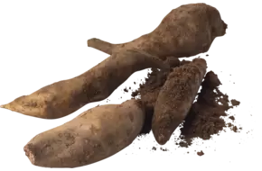 Yacon doos 2kg