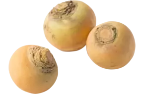 Meiraap geel