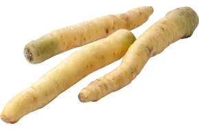 Winterpeen wit verpakt 1kg