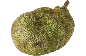 Jack fruit-Nanka fruit