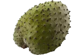 Zuurzak (guanabana)